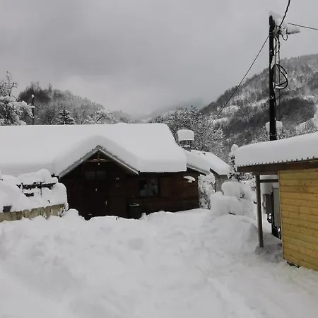 Sarac Daire *